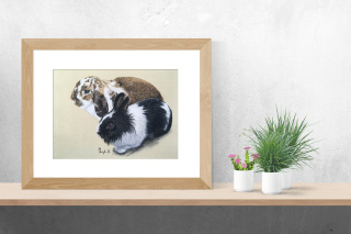 Galerie Im neuen Zuhause